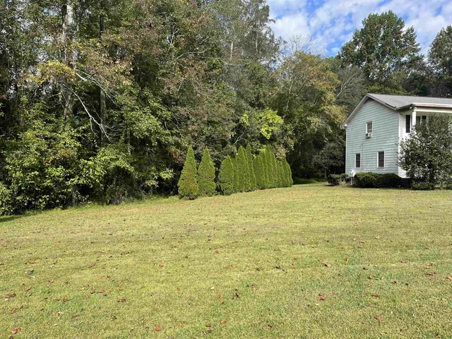 $1,250,000 | 1229 Tulip Street, Clayton, NC 27520