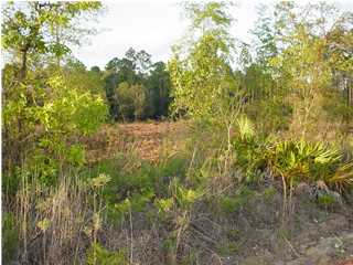 111 Miller Drive Altha, FL 32421 - Photo 1 of 1