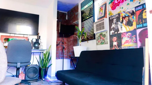 a living room with furniture and a potted plant