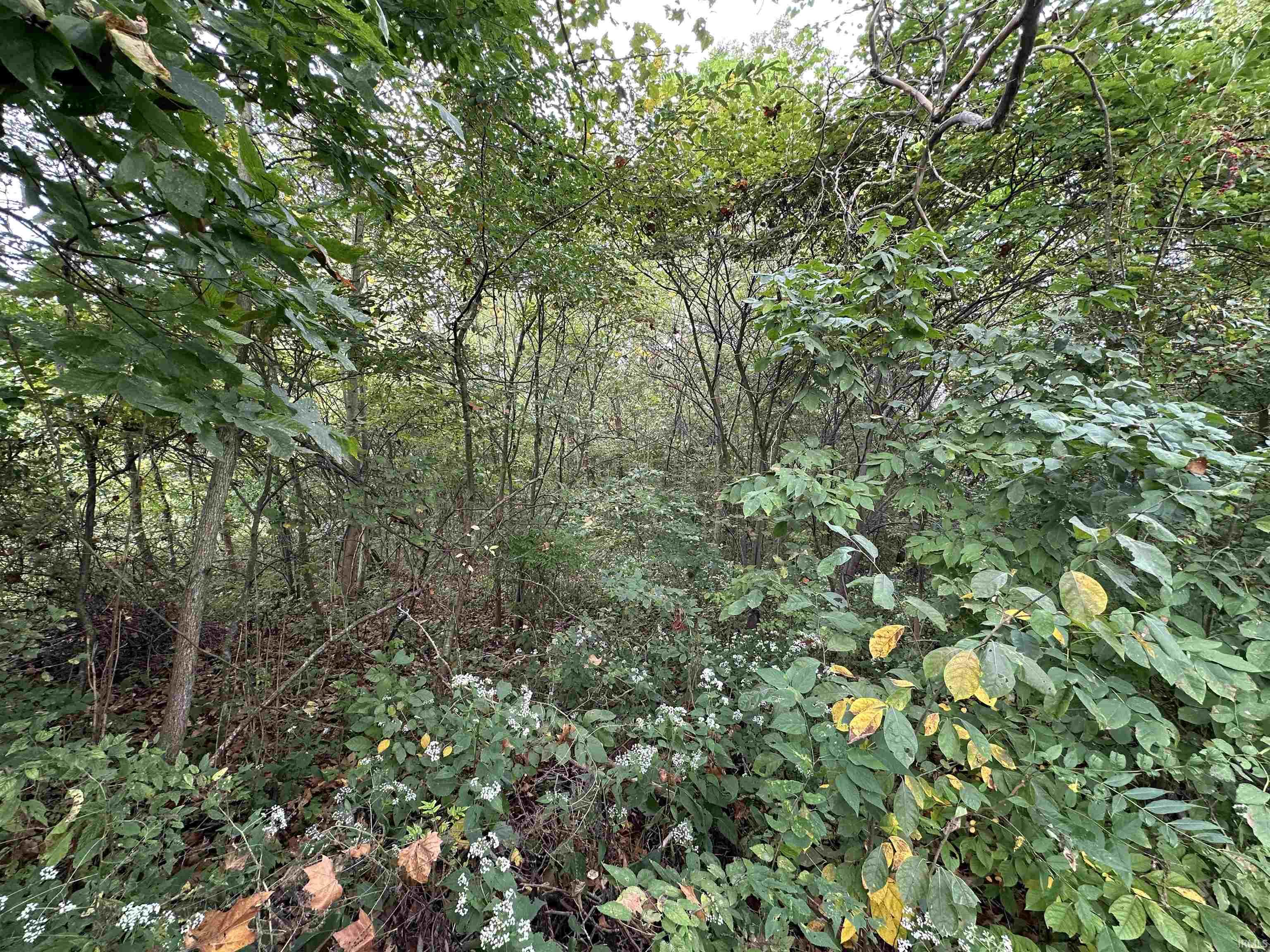 Tbd Spring Drive Bedford, IN 47421 - Photo 3 of 17