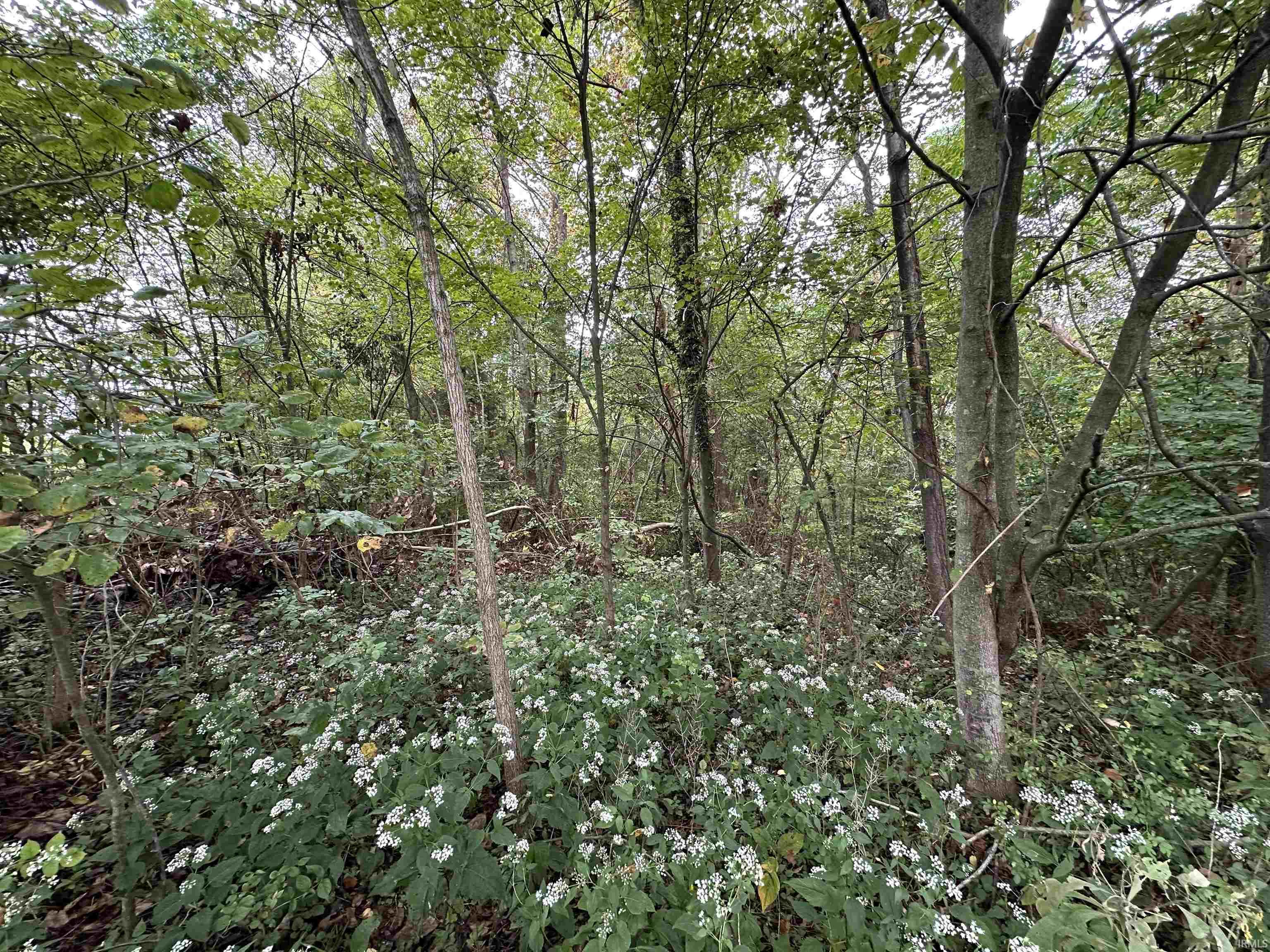 Tbd Spring Drive Bedford, IN 47421 - Photo 4 of 17