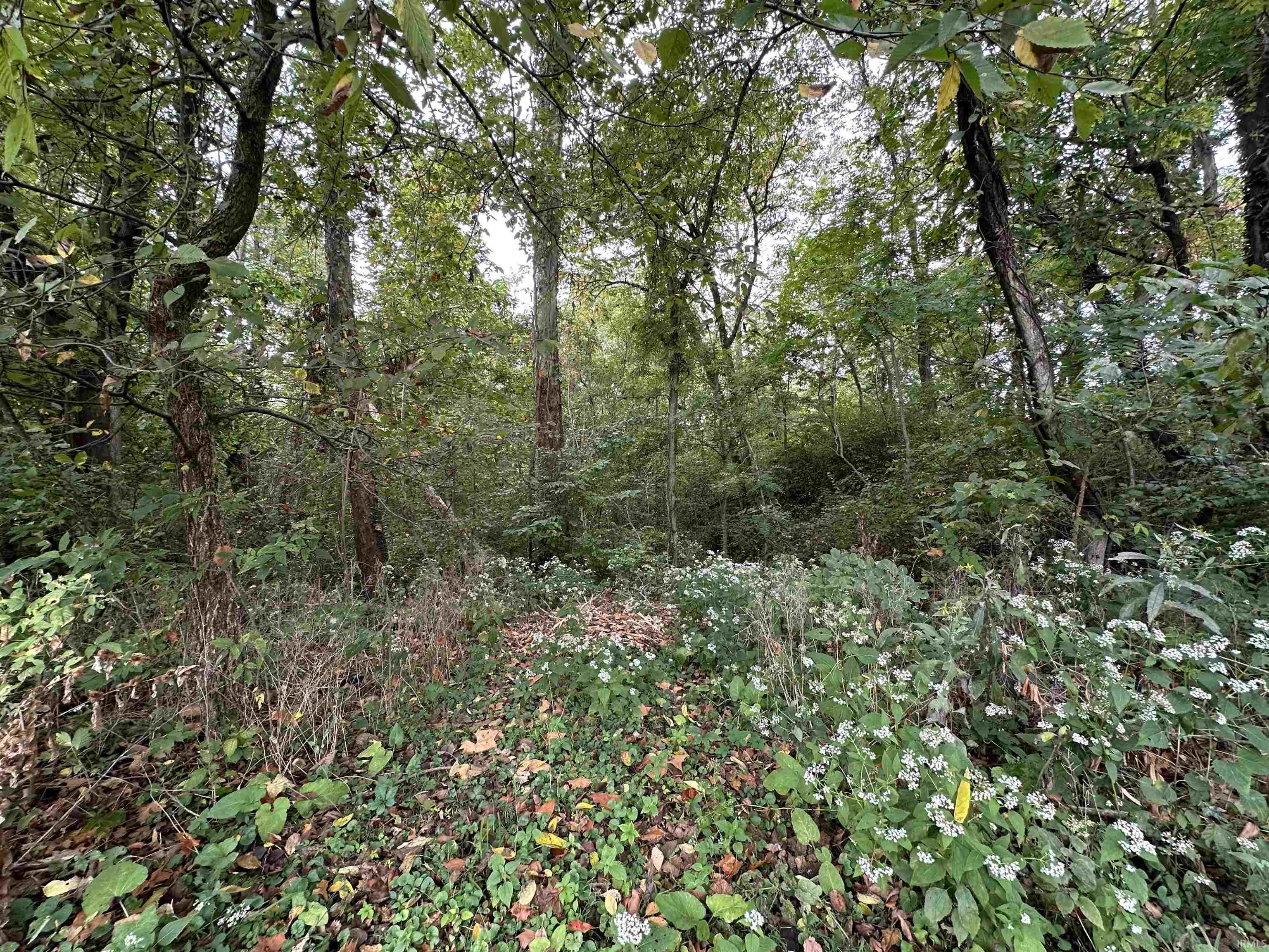 Tbd Spring Drive Bedford, IN 47421 - Photo 5 of 17