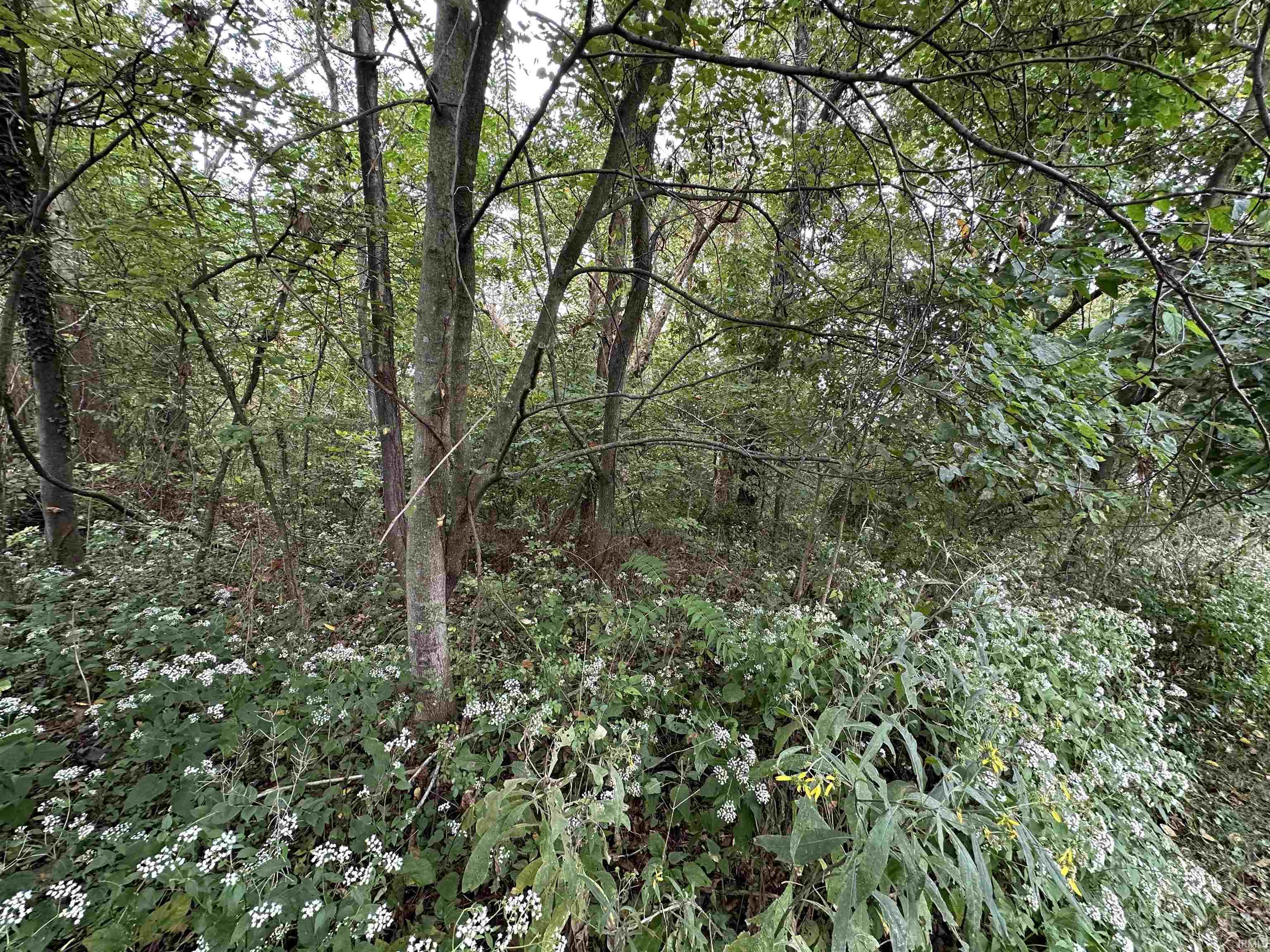 Tbd Spring Drive Bedford, IN 47421 - Photo 8 of 17