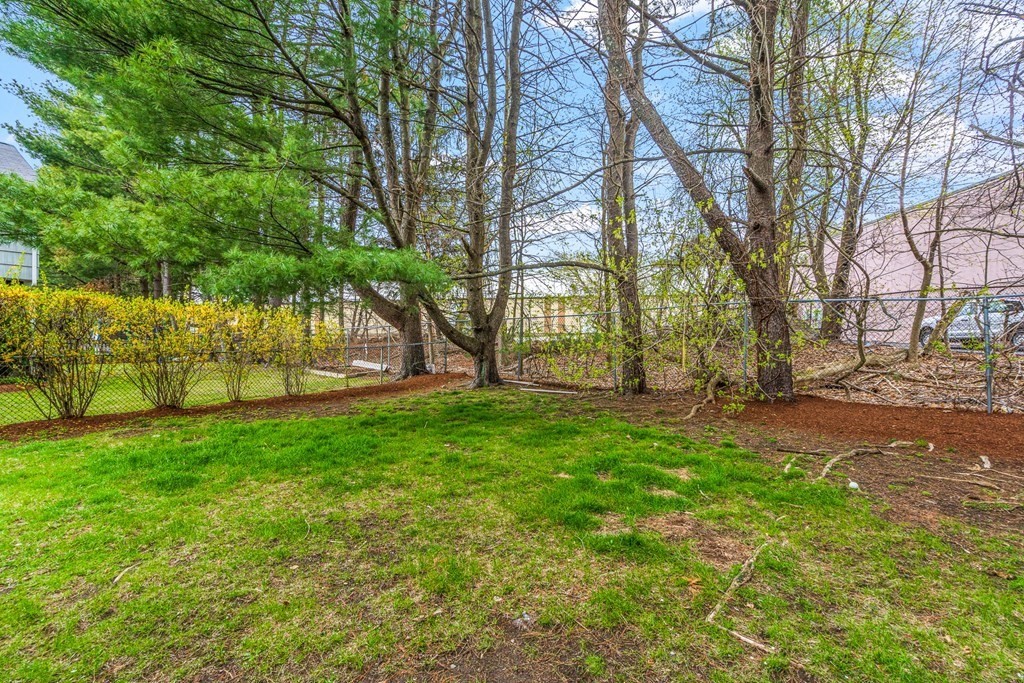 25 George Road, Unit 25 Winchester, MA 01890 - Photo 3 of 29