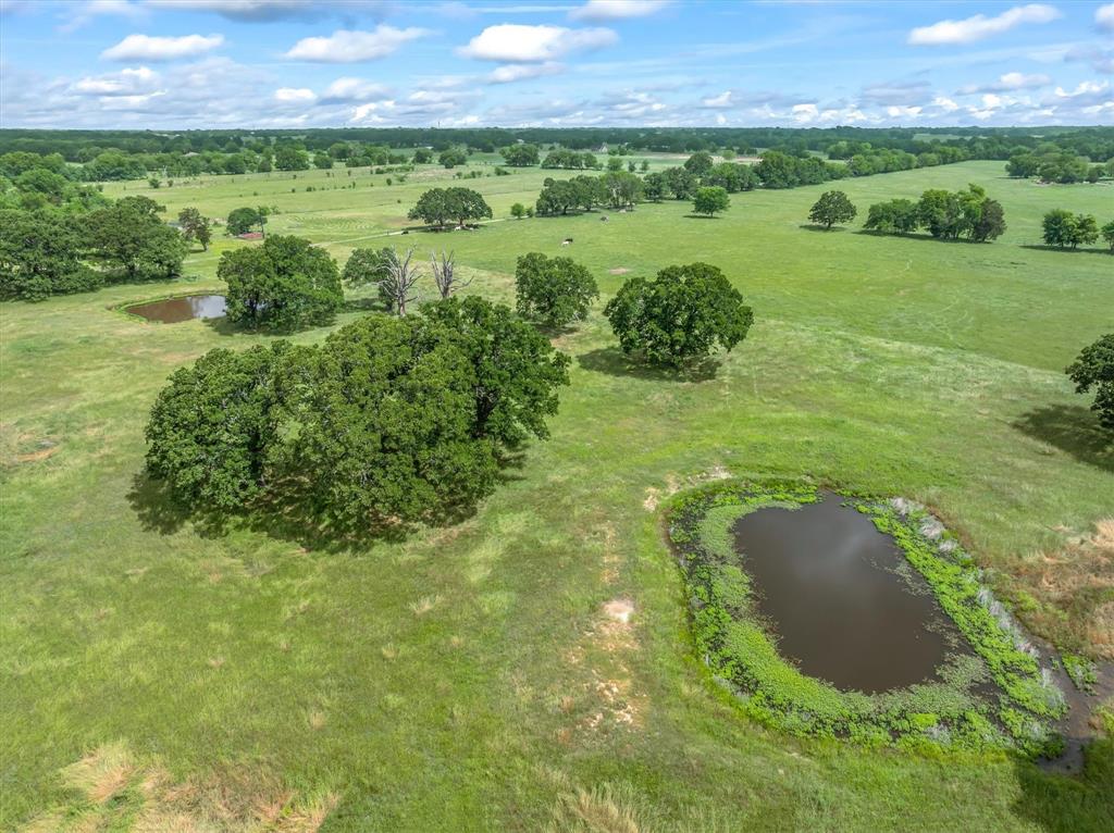 Tbd Tbd Fm-1395 Wills Point, TX 75169 - Photo 5 of 11