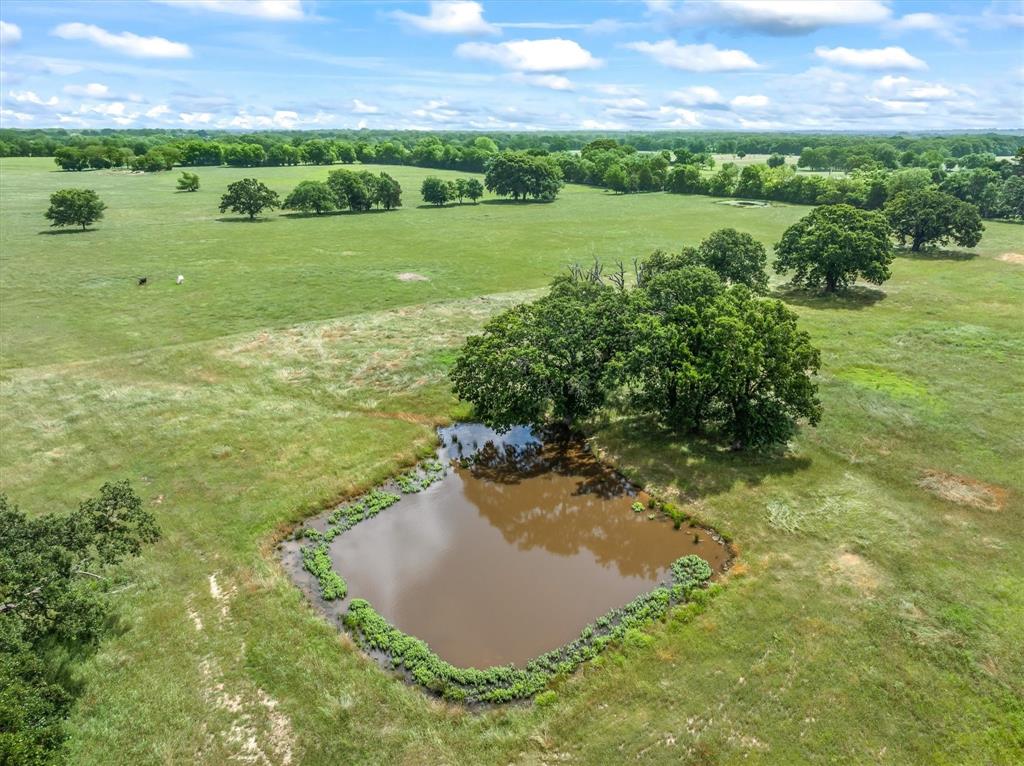 Tbd Tbd Fm-1395 Wills Point, TX 75169 - Photo 6 of 11