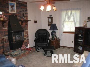 219 Liebengood Road Mount Vernon, IL 62864 - Photo 3 of 17