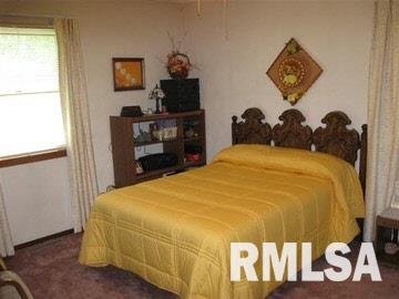 219 Liebengood Road Mount Vernon, IL 62864 - Photo 7 of 17