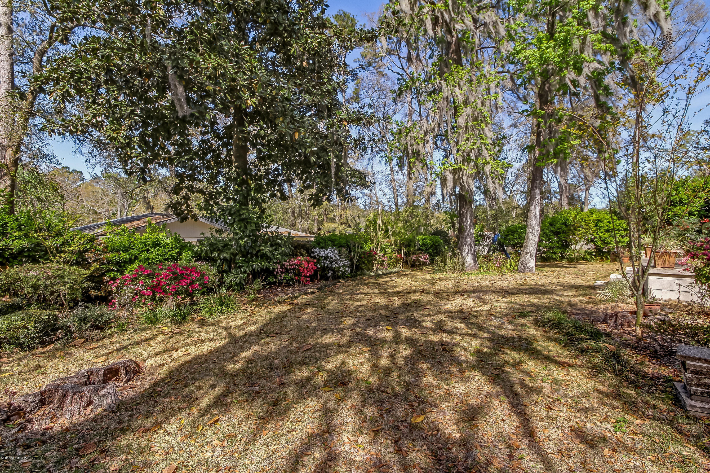331 Capella Road Orange Park, FL 32073 - Photo 21 of 28 Backyard