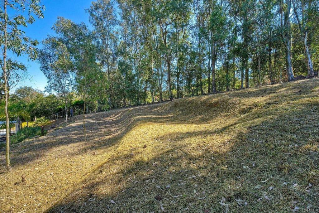 2830 Green Canyon Road Fallbrook, CA 92028 - Photo 33 of 43 Back slope lined w trees