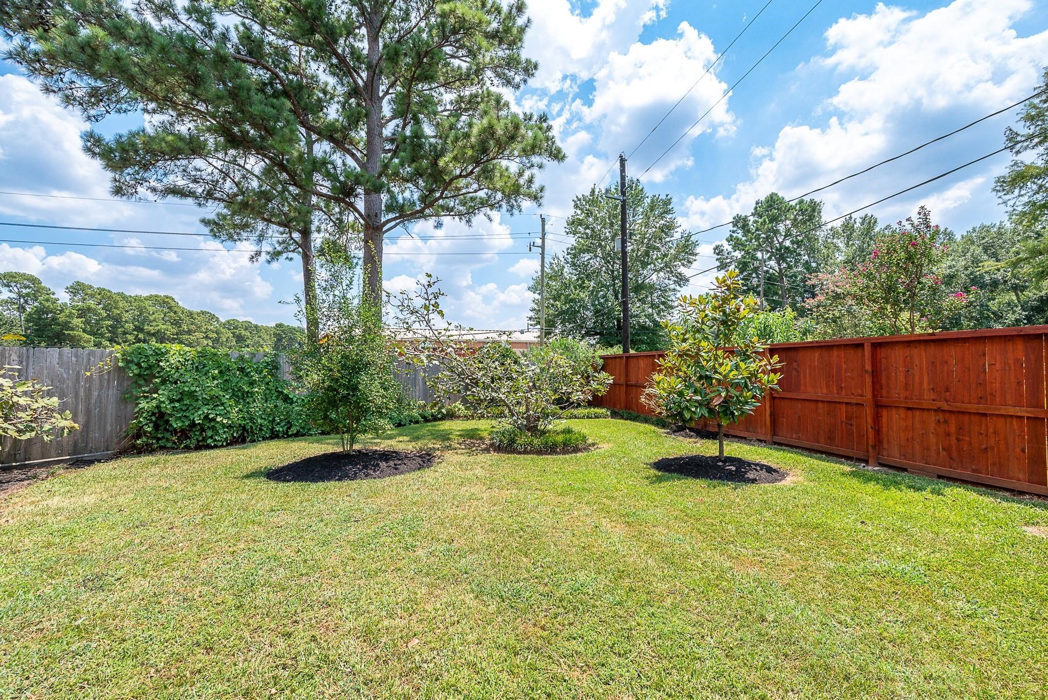 8019 Beaufort Drive Spring, TX 77379 - Photo 45 of 47 a backyard of a house with lots of green space