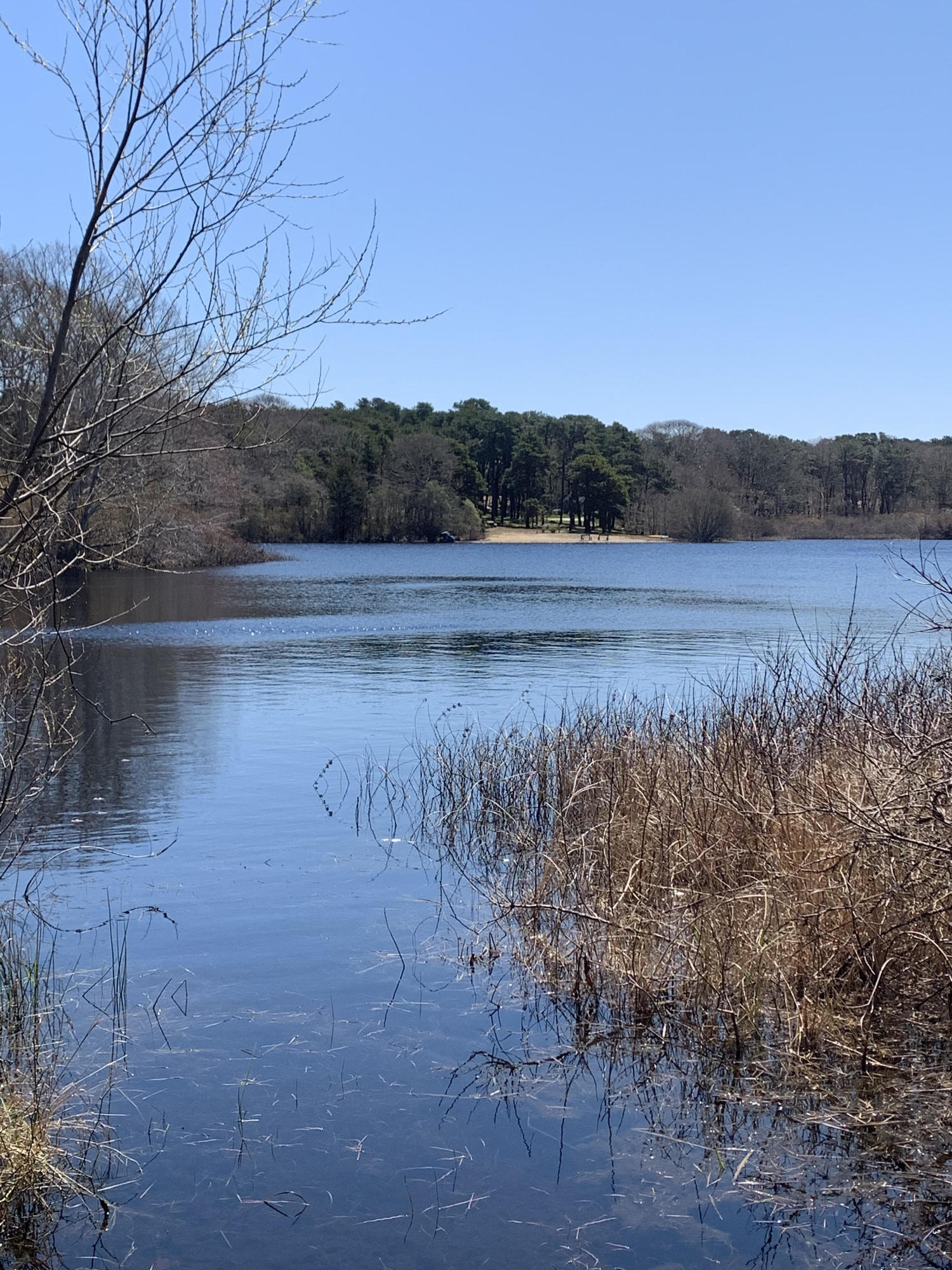 2 Highland Road Eastham, MA 02642 - Photo 3 of 5 2 highland