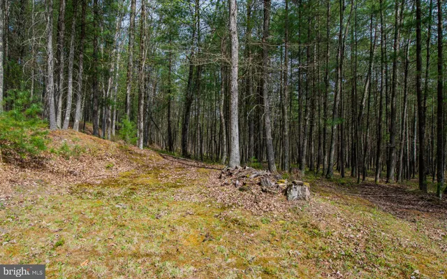 $235,000 | 220 Gillens Road, Mill Hall, PA 17751