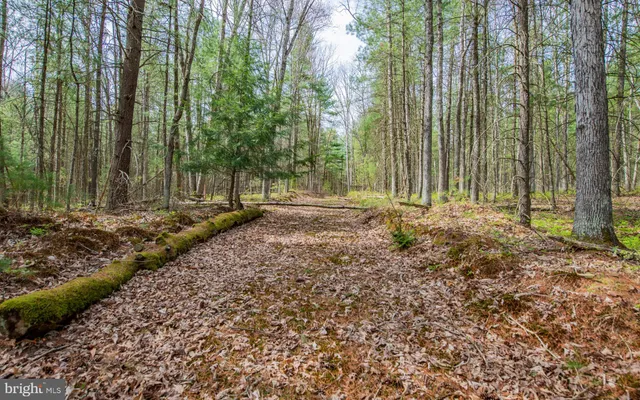 $235,000 | 220 Gillens Road, Mill Hall, PA 17751