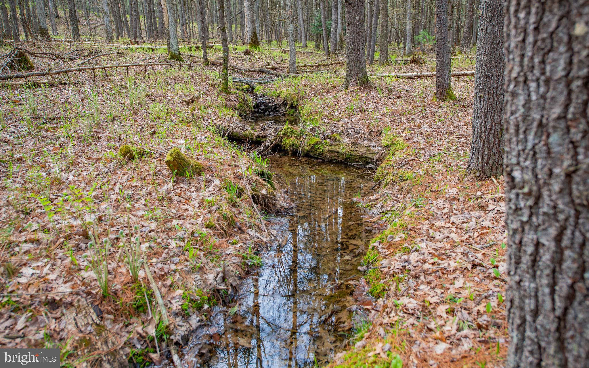 220 Gillens Road Mill Hall, PA 17751 - Photo 22 of 37 a view of a yard with wooden fence