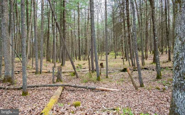 $235,000 | 220 Gillens Road, Mill Hall, PA 17751