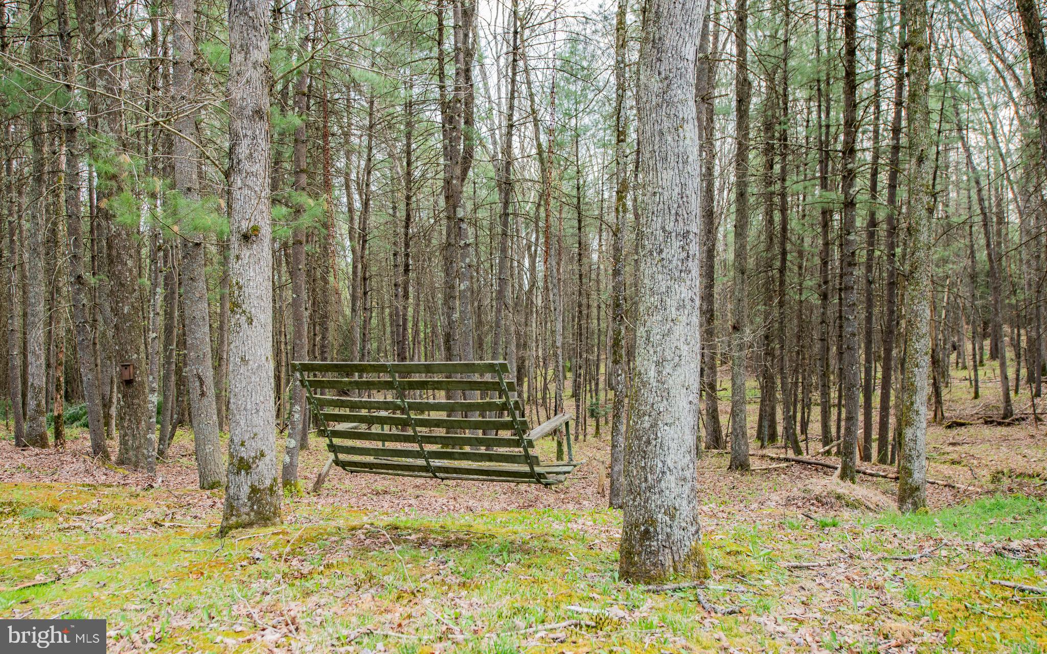 220 Gillens Road Mill Hall, PA 17751 - Photo 26 of 37 a view of outdoor space with trees