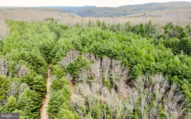 $235,000 | 220 Gillens Road, Mill Hall, PA 17751