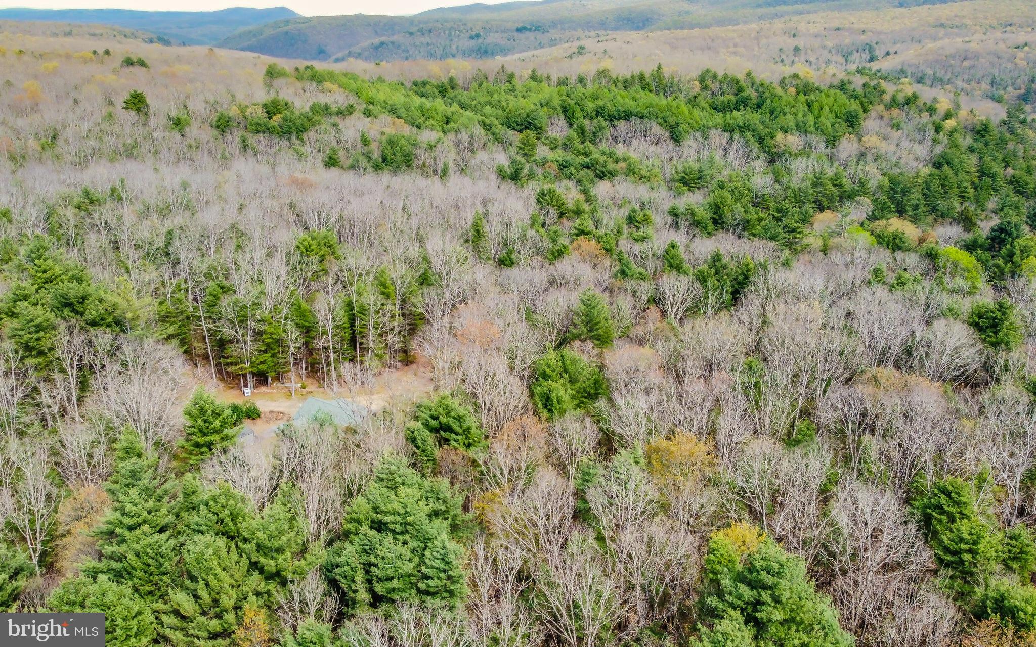 220 Gillens Road Mill Hall, PA 17751 - Photo 37 of 37 a view of a lush green forest with lots of trees