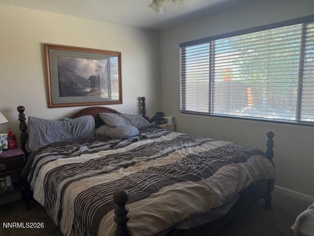 512 Darren Way Fernley, NV 89408 - Photo 20 of 32 IMG_3773