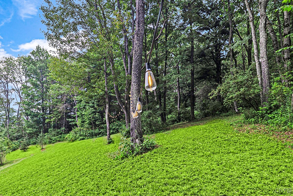 3036 Fairground Road Brookfield, NY 13480 - Photo 35 of 38
