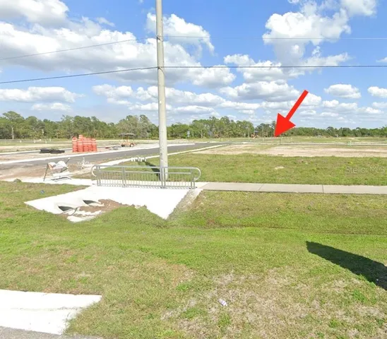 a close up of a plant