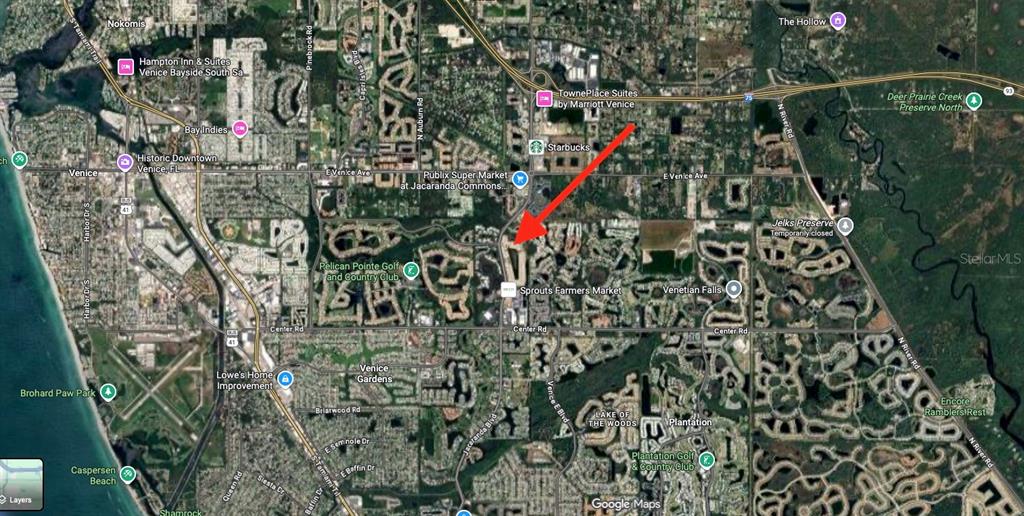 20021 Golden Glow Loop Venice, FL 34292 - Photo 5 of 6 a close up of a plant