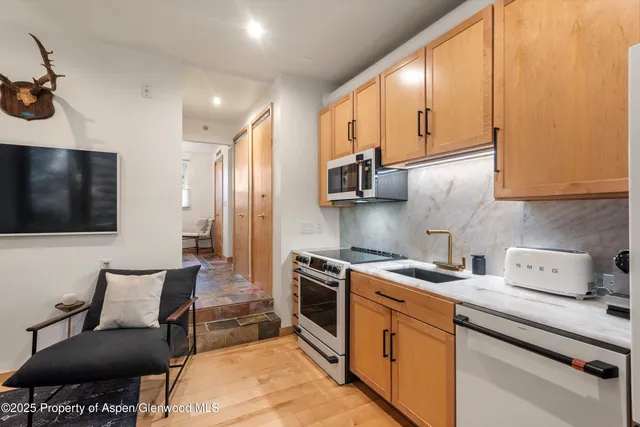 $1,250 | 434 East Main Street, Unit 102, Aspen, CO 81611