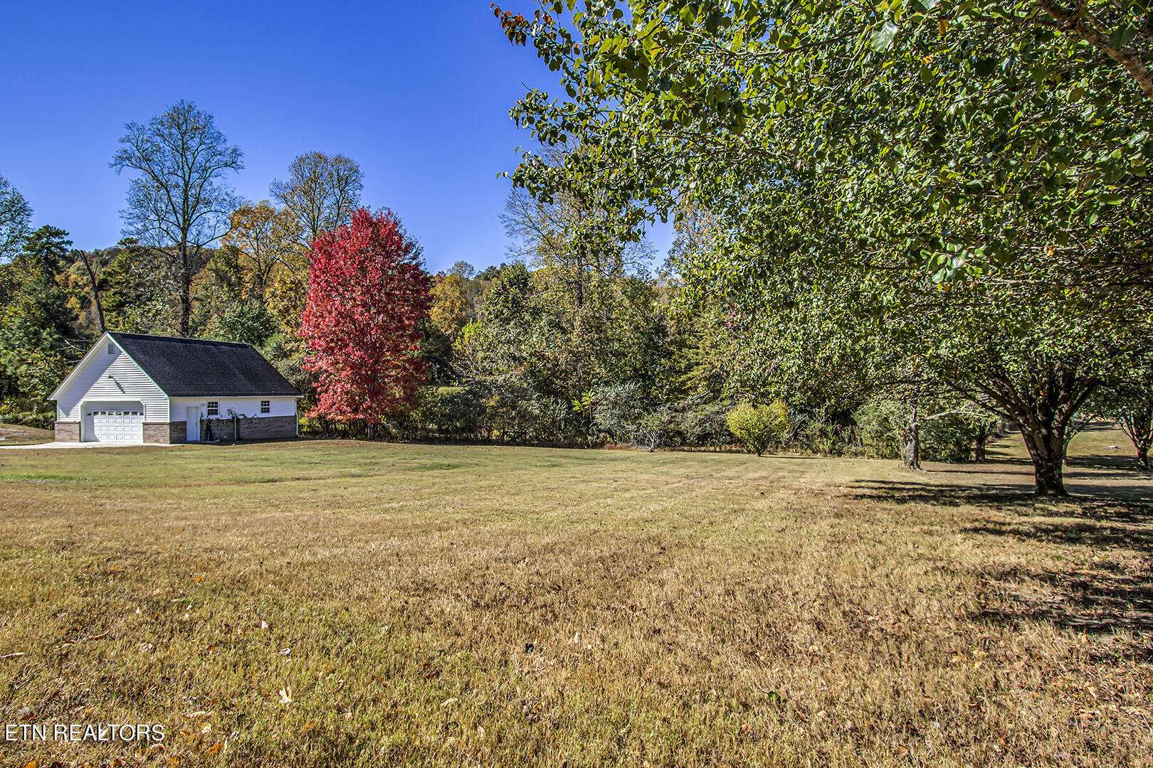 196 Foremast Road Kingston, TN 37763 - Photo 54 of 60 54_ForemastRoad_196_Backyard