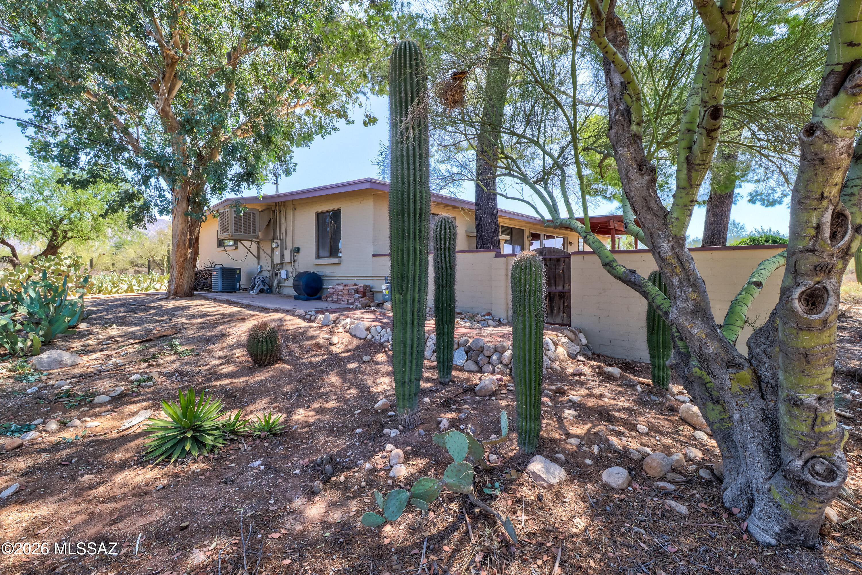 55 East Rudasill Road Tucson, AZ 85704 - Photo 48 of 48