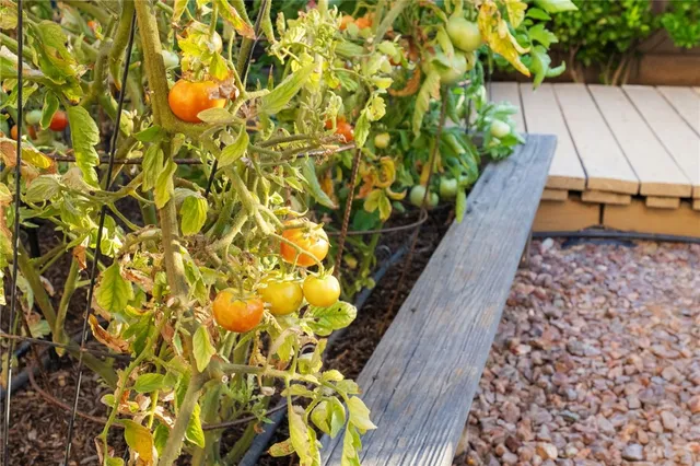 $1,224,990 | 36691 Kennemer Drive, Murrieta, CA 92562