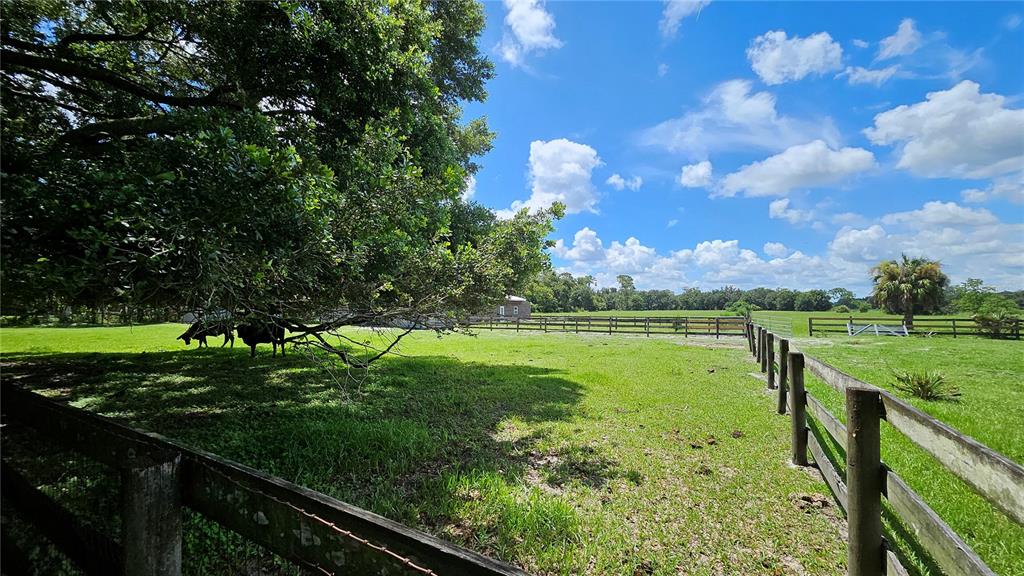 18125 Dorman Road Lithia, FL 33547 - Photo 47 of 56 Gallery Image 47