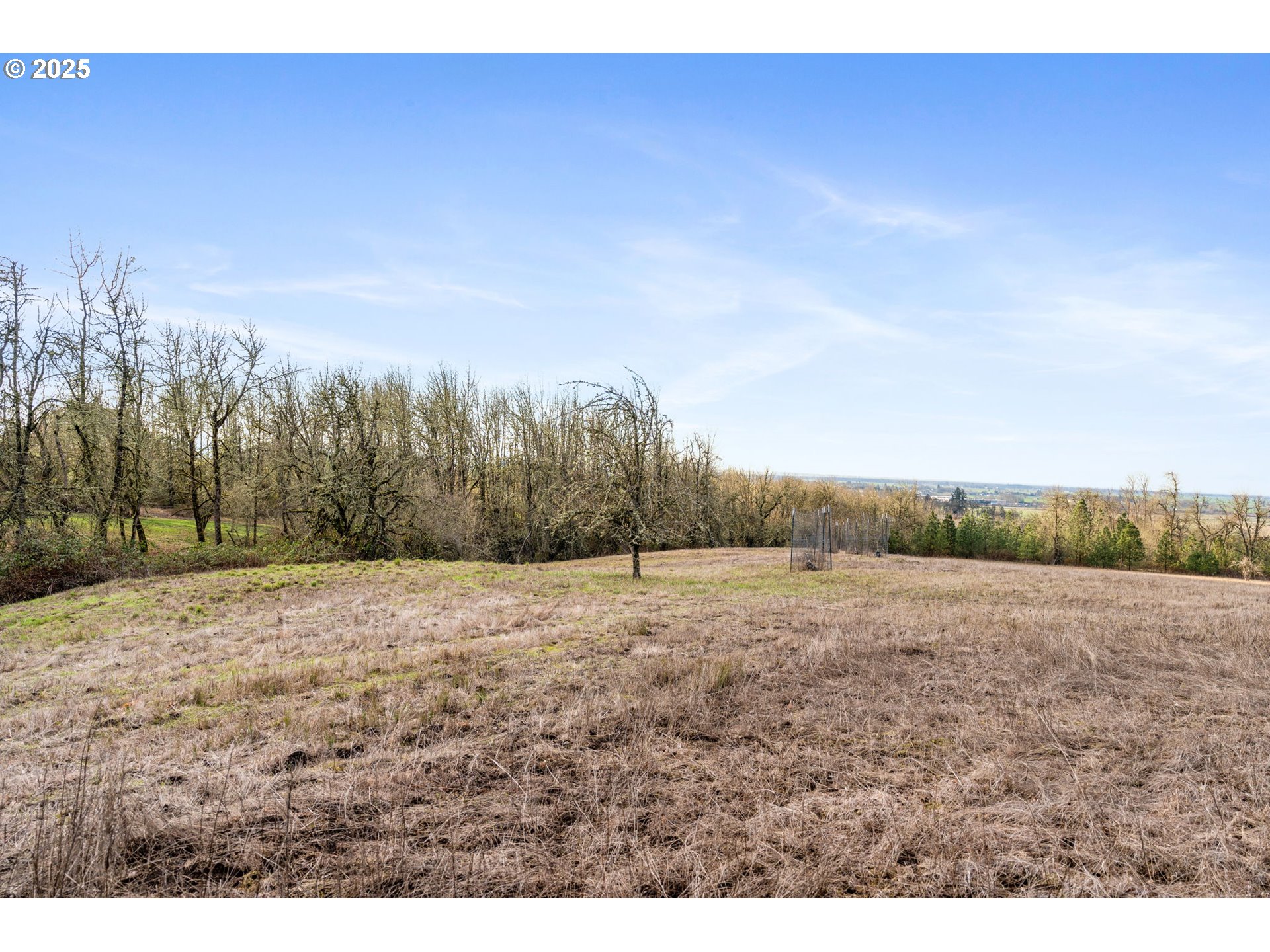 Diamond Ridge Loop Eugene, OR 97408 - Photo 13 of 15