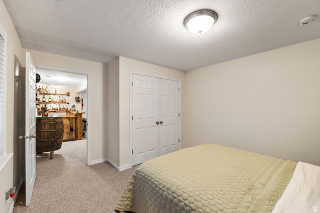 6208 West Bull River Road Highland, UT 84003 - Photo 55 of 90 Carpeted room with a ceiling-mounted light fixture, white walls, and a two-panel closet door