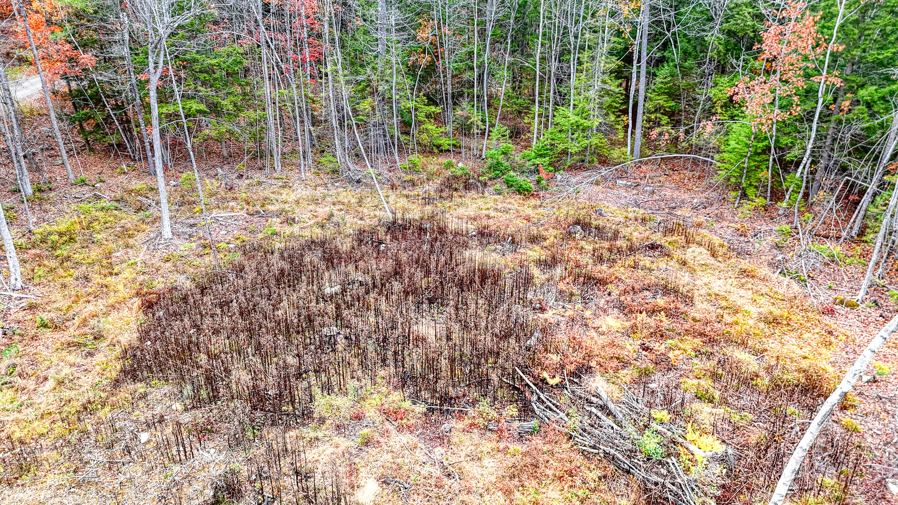 89 Lone Indian Trail Augusta, ME 04330 - Photo 12 of 68 110297ae-112