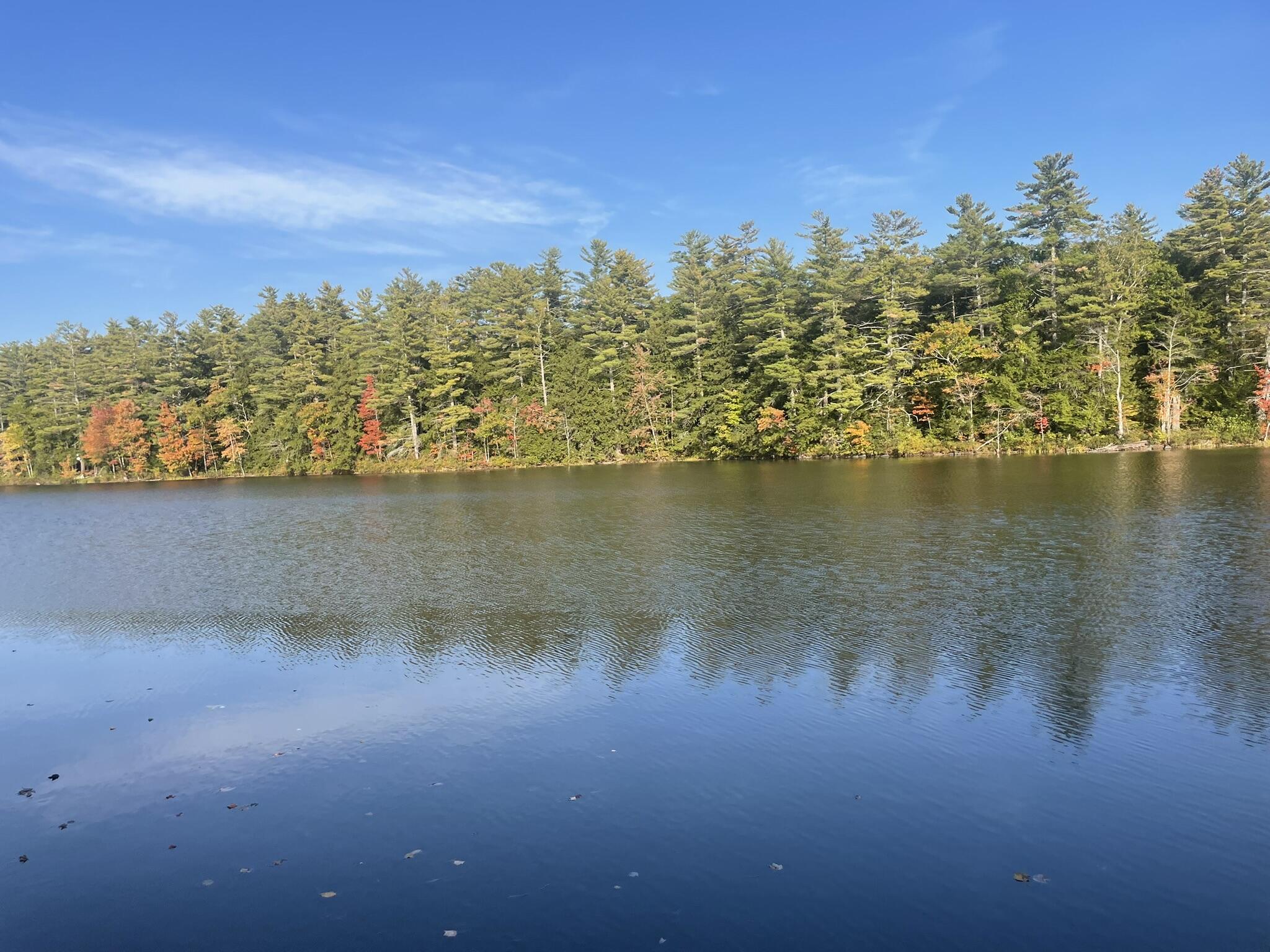 89 Lone Indian Trail Augusta, ME 04330 - Photo 67 of 68 IMG_9983