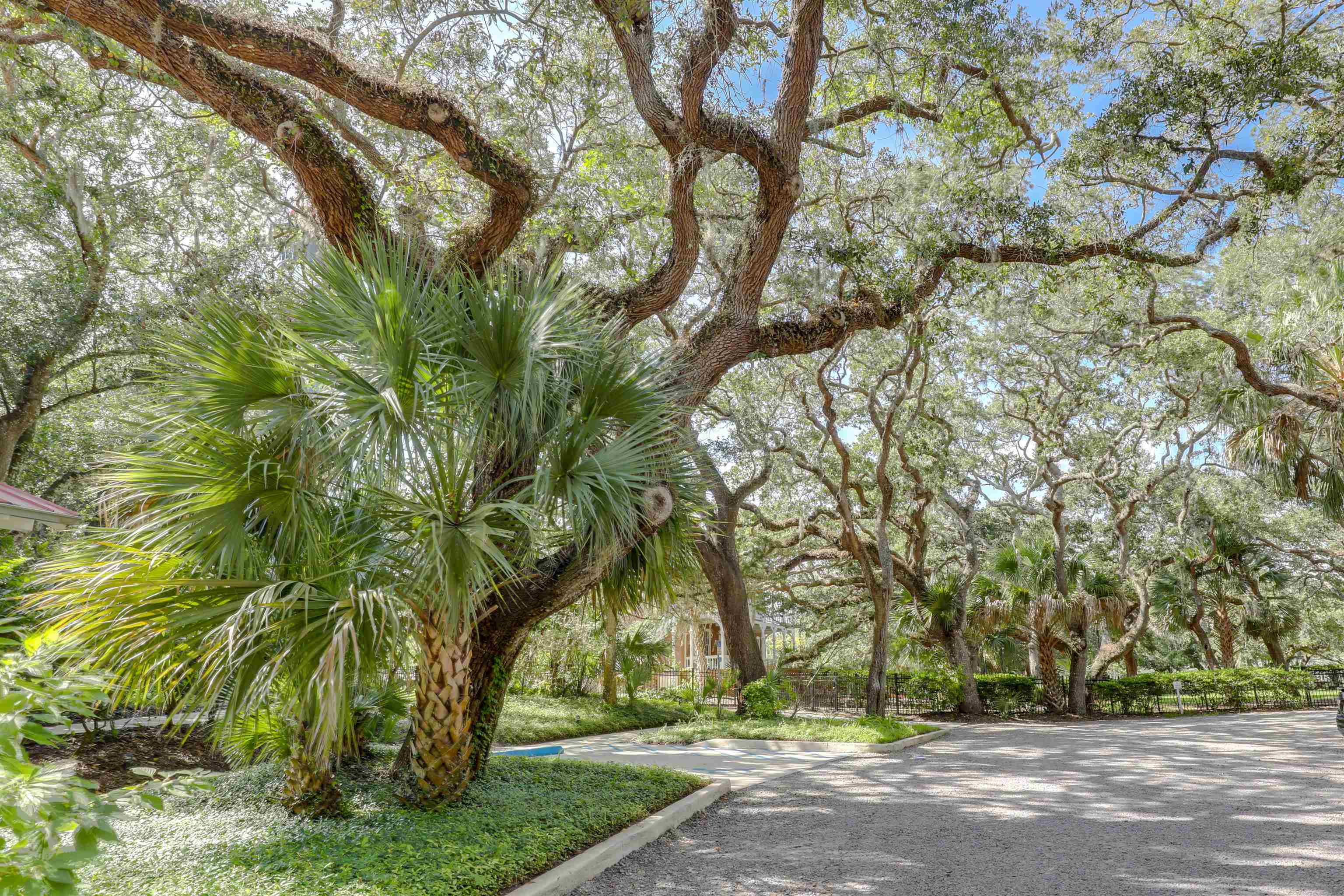 149 Jasmine Road St. Augustine, FL 32086 - Photo 54 of 61 a view of road and trees