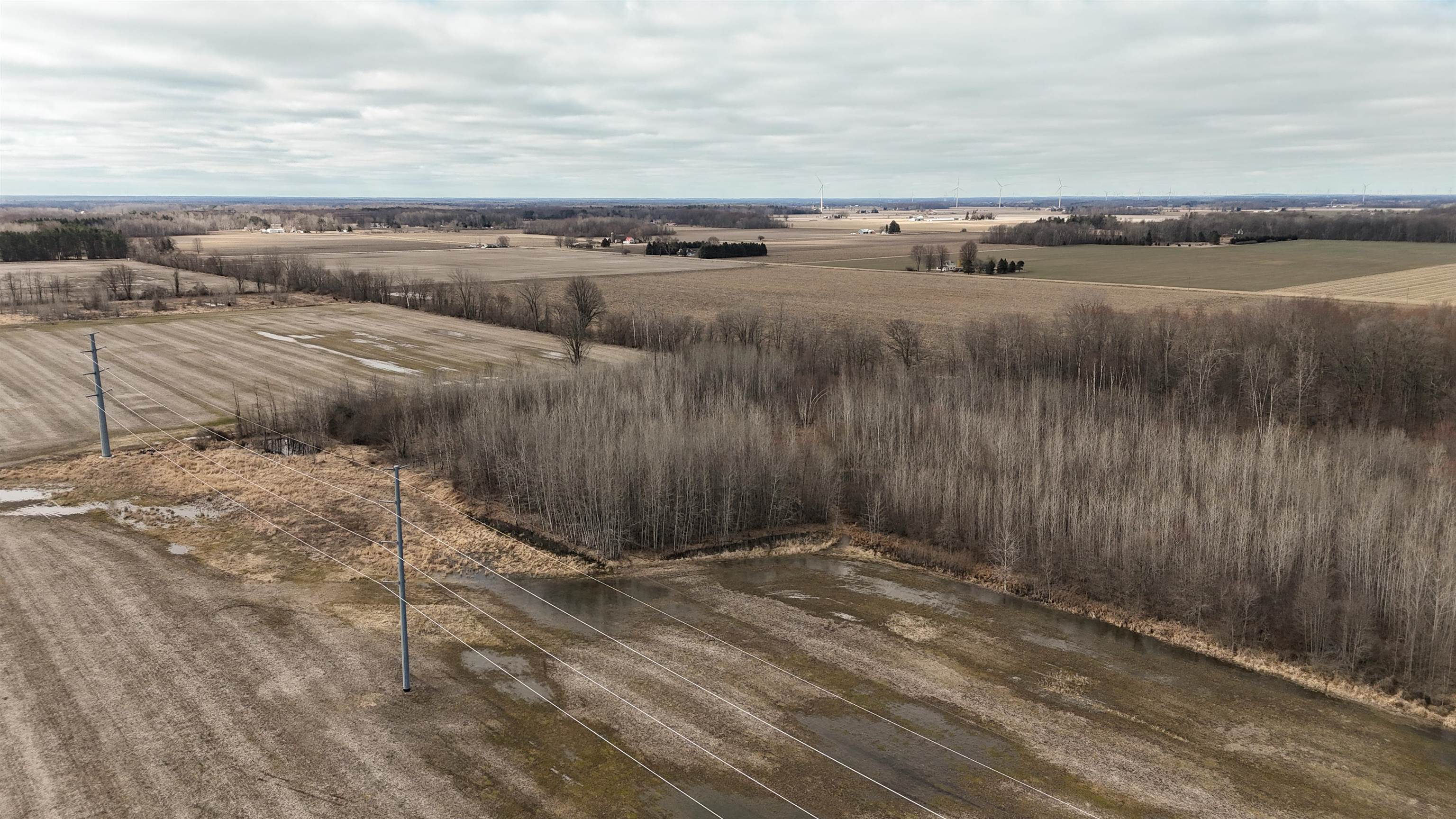 Tbd North Dickenson Road Coleman, MI 48618 - Photo 7 of 7