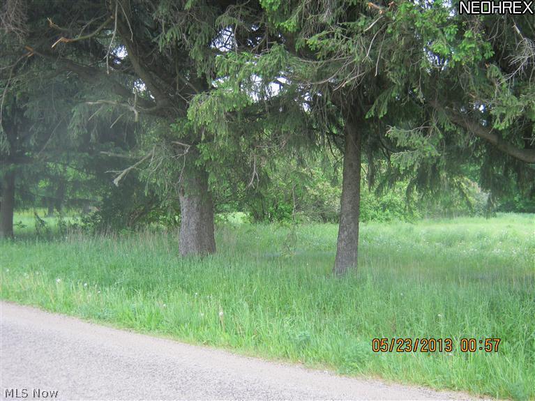 6238 Mechanicsville Road Rome, OH 44085 - Photo 4 of 11