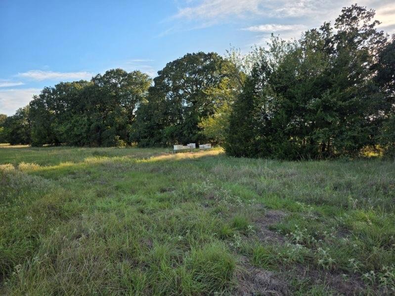 1200 East Rabbit Cove Road West Tawakoni, TX 75474 - Photo 14 of 23 a view of outdoor space with trees all around