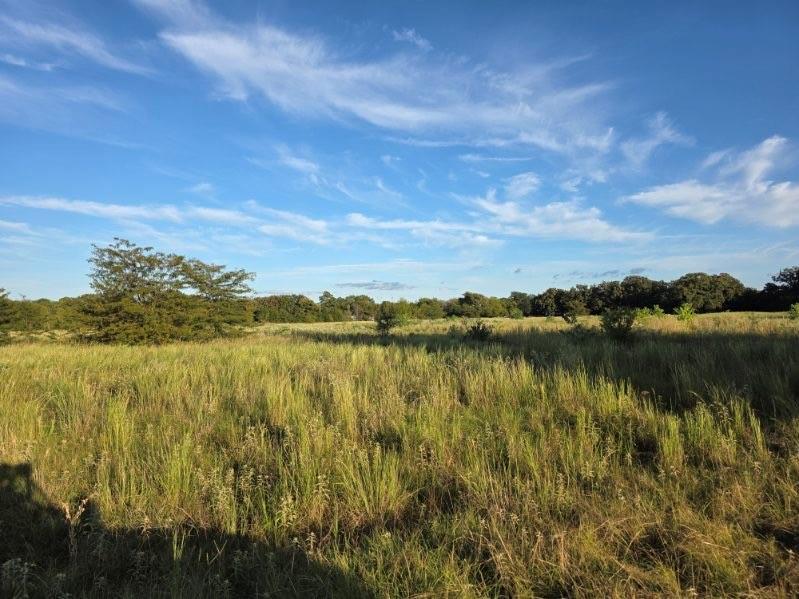 1200 East Rabbit Cove Road West Tawakoni, TX 75474 - Photo 17 of 23 a view of lake with green space