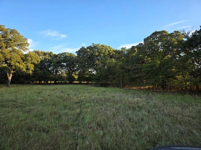 1200 East Rabbit Cove Road West Tawakoni, TX 75474 - Photo 19 of 23 a view of outdoor space and yard
