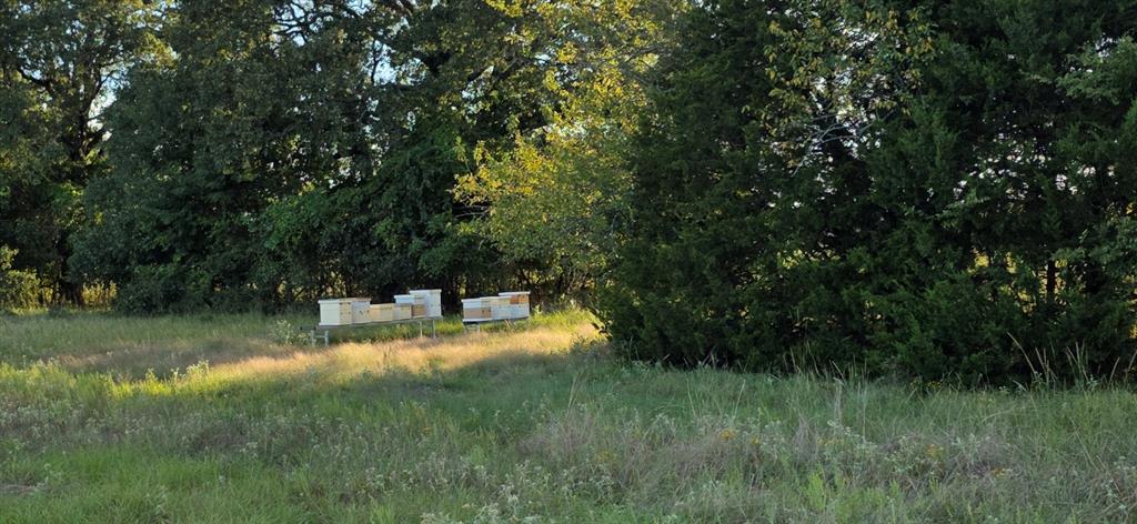 1200 East Rabbit Cove Road West Tawakoni, TX 75474 - Photo 23 of 23 a view of a back yard