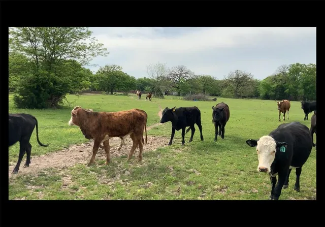 a view of lake with green space