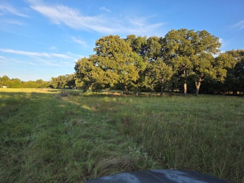 1200 East Rabbit Cove Road West Tawakoni, TX 75474 - Photo 5 of 23 a view of a field with an trees