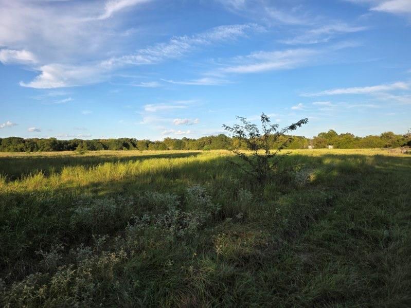 1200 East Rabbit Cove Road West Tawakoni, TX 75474 - Photo 6 of 23 a view of a lake with houses in the back