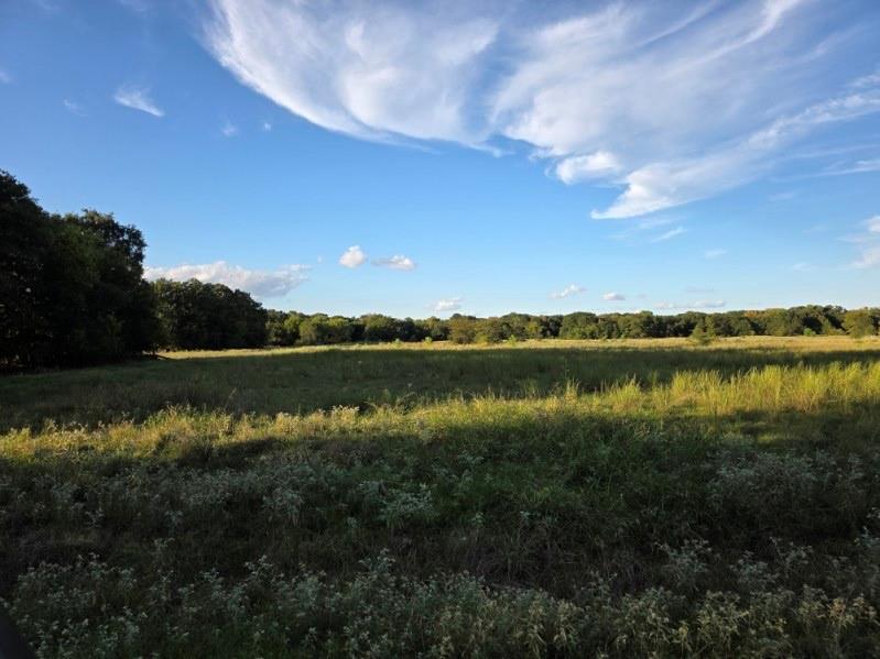 1200 East Rabbit Cove Road West Tawakoni, TX 75474 - Photo 8 of 23 a view of a lake from a yard