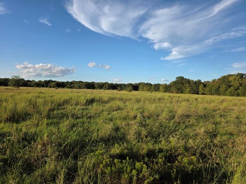 1200 East Rabbit Cove Road West Tawakoni, TX 75474 - Photo 9 of 23 a view of mountain with lake in background