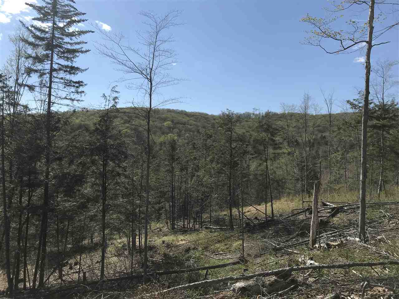 0 Watson Hill Road West Topsham, VT 05086 - Photo 3 of 10 Gallery Image 3