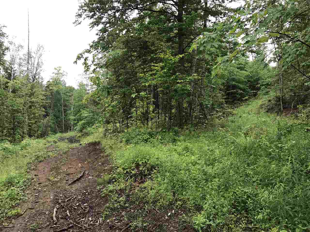 0 Watson Hill Road West Topsham, VT 05086 - Photo 5 of 10 Gallery Image 5